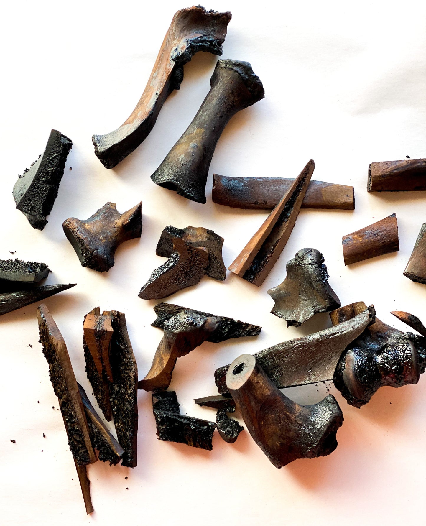 BONE: Bastrop, TX (Dust to Dust)