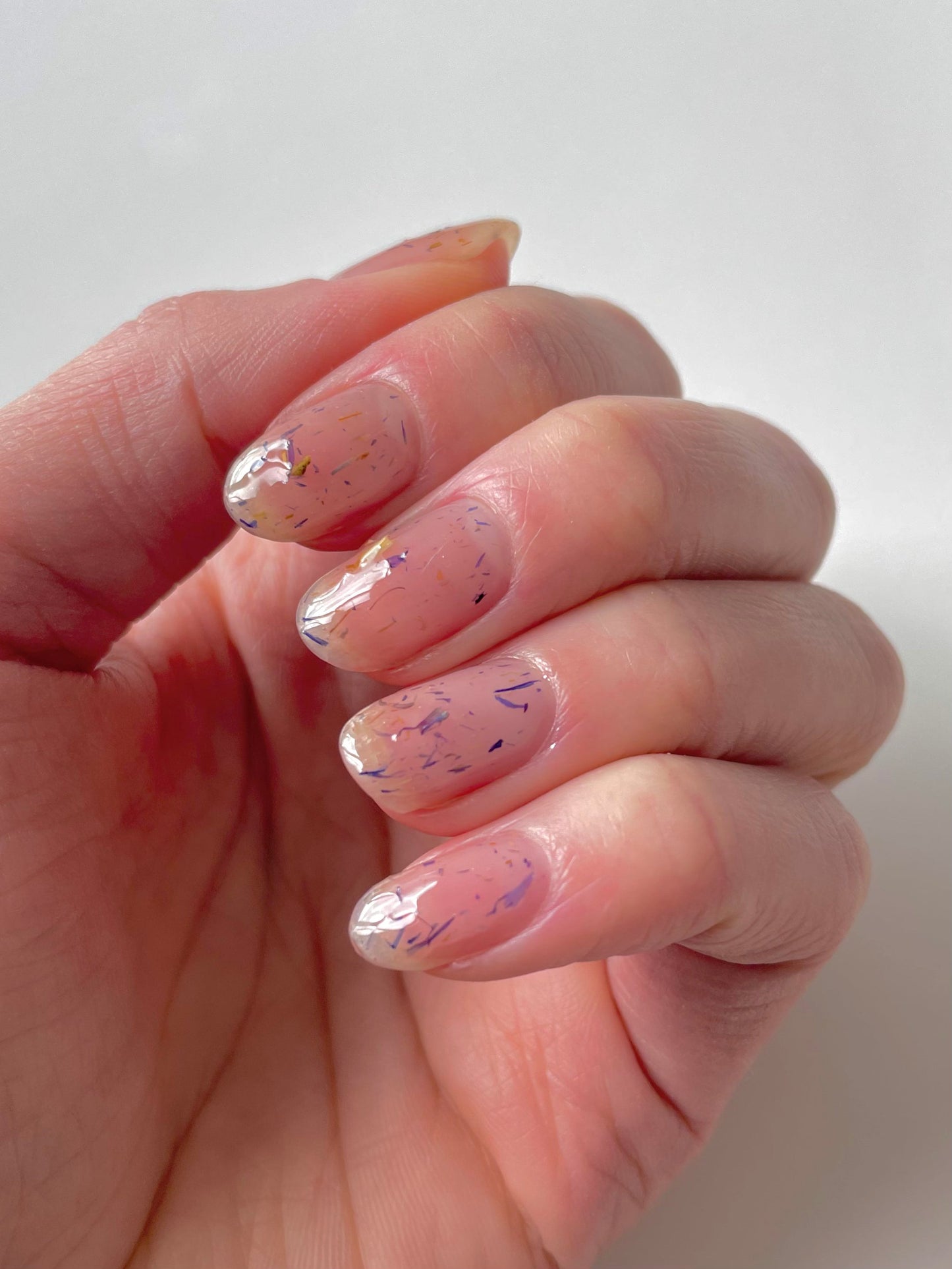 CORNFLOWERS (Dust to Dust) (Wholesale)