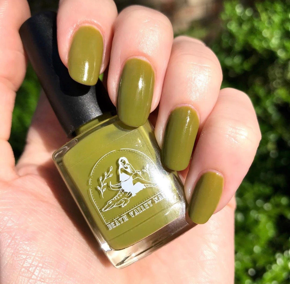 YELLOW-BELLIED SAPSUCKER