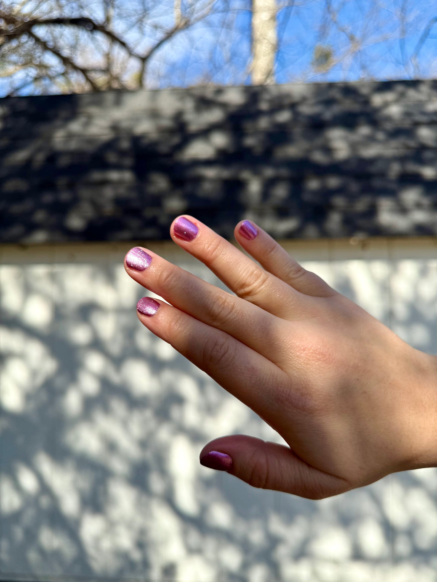 10 THINGS I DON'T HATE ABOUT YOU (magnetic)