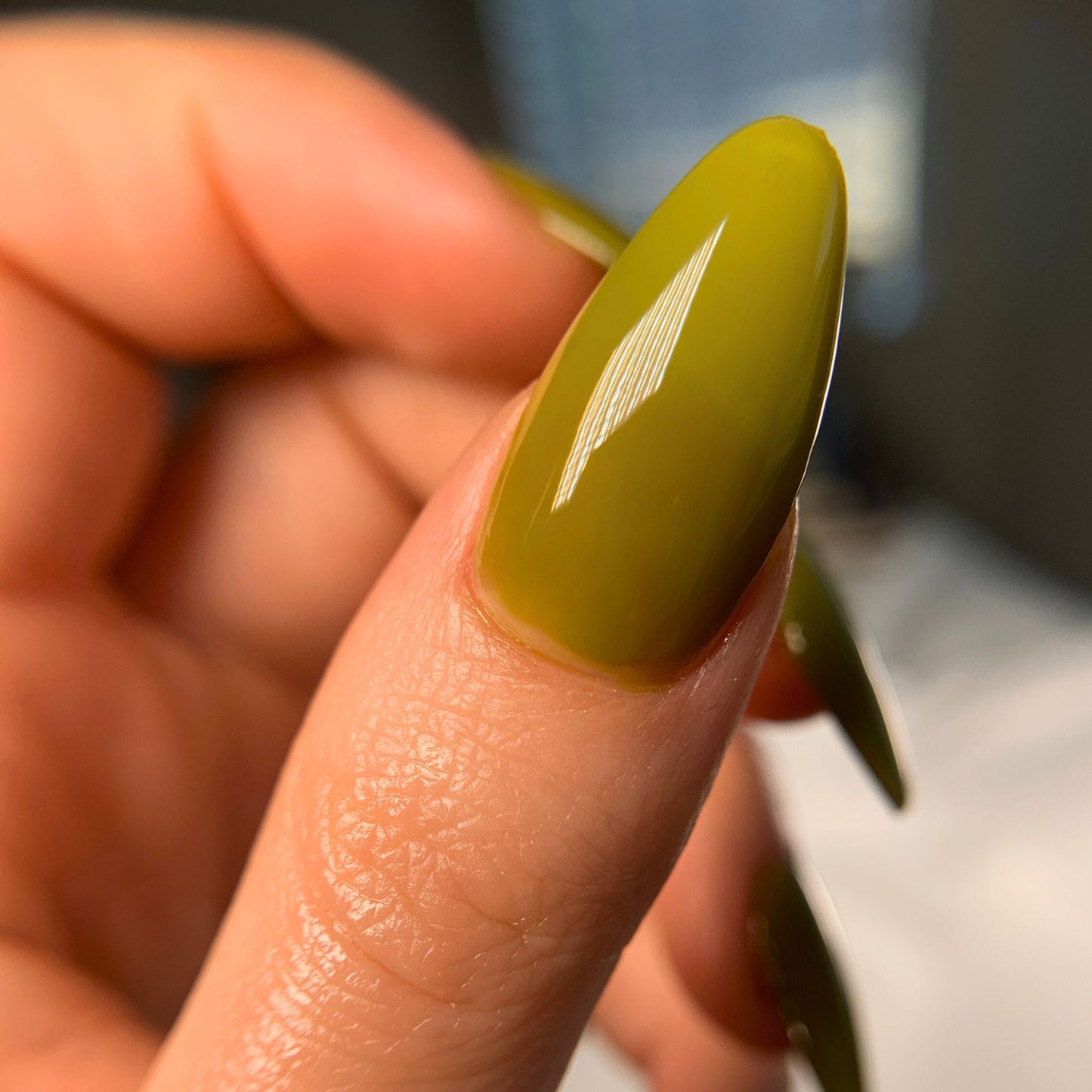 YELLOW-BELLIED SAPSUCKER