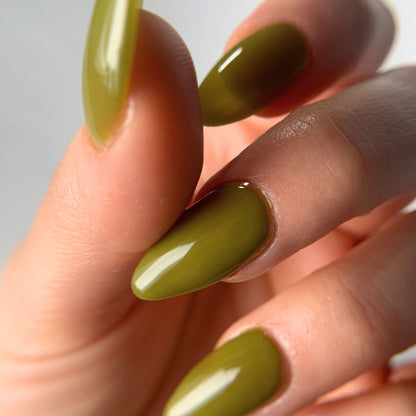 YELLOW-BELLIED SAPSUCKER