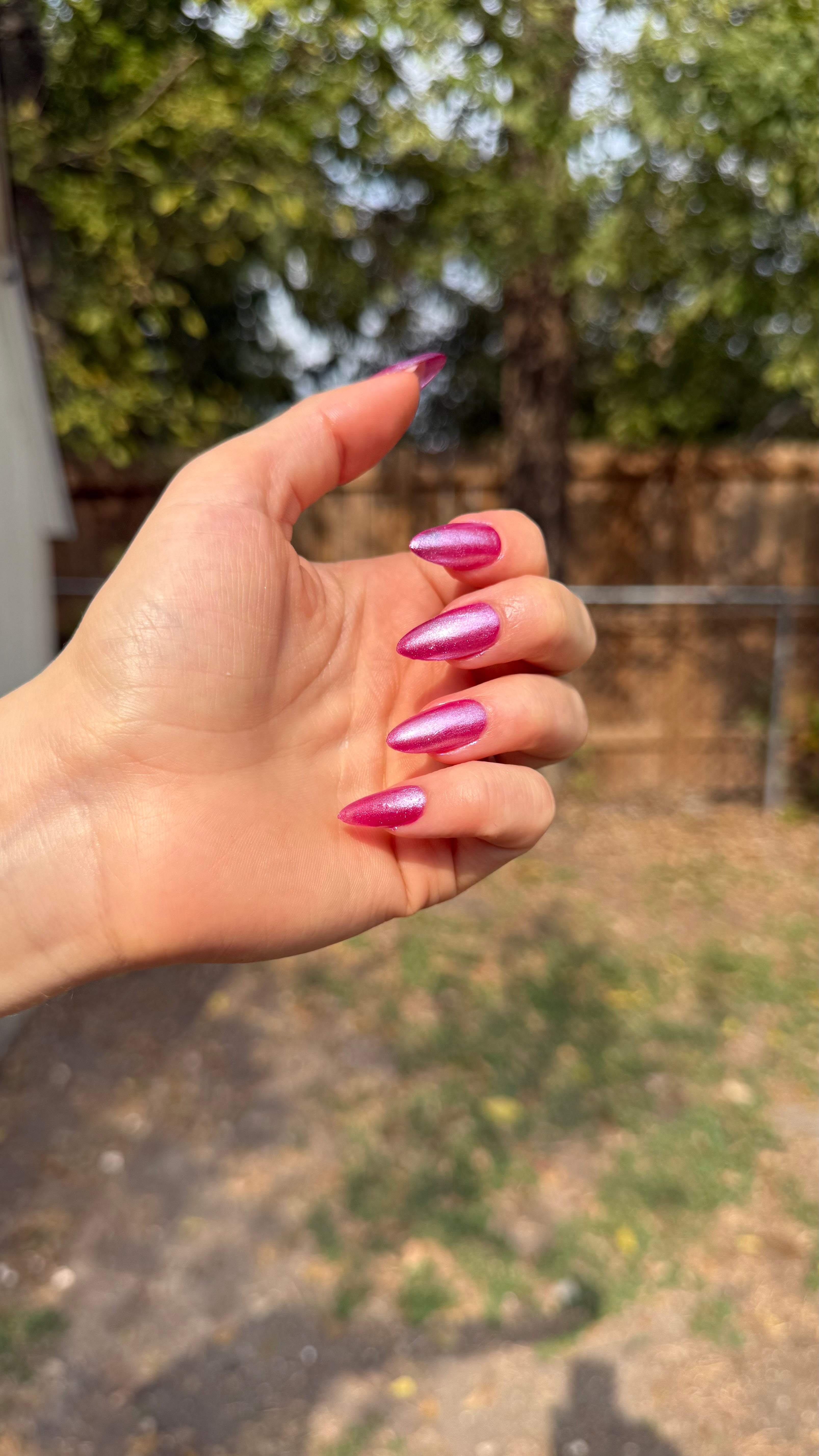 TOE JAM – Death Valley Nails