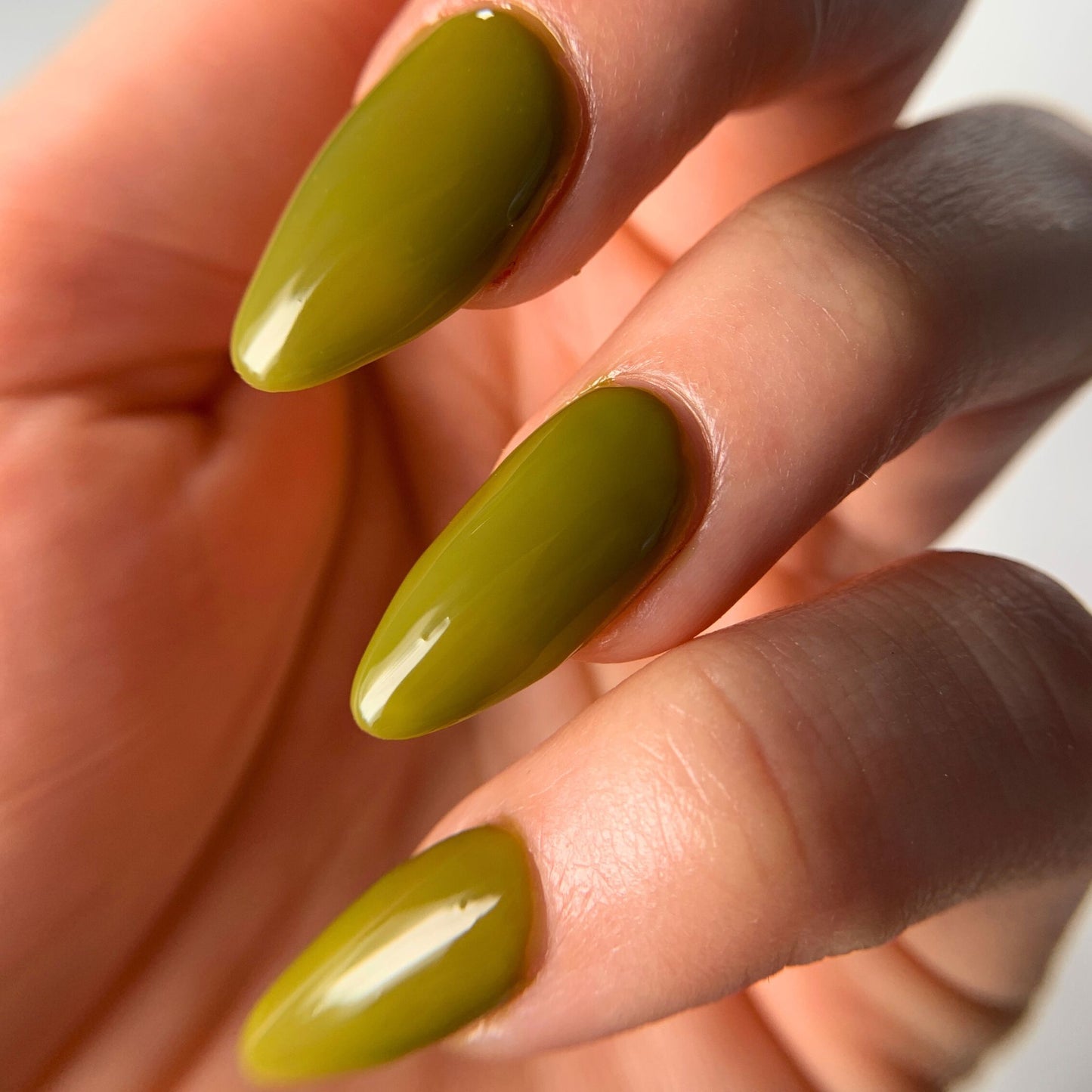 YELLOW-BELLIED SAPSUCKER