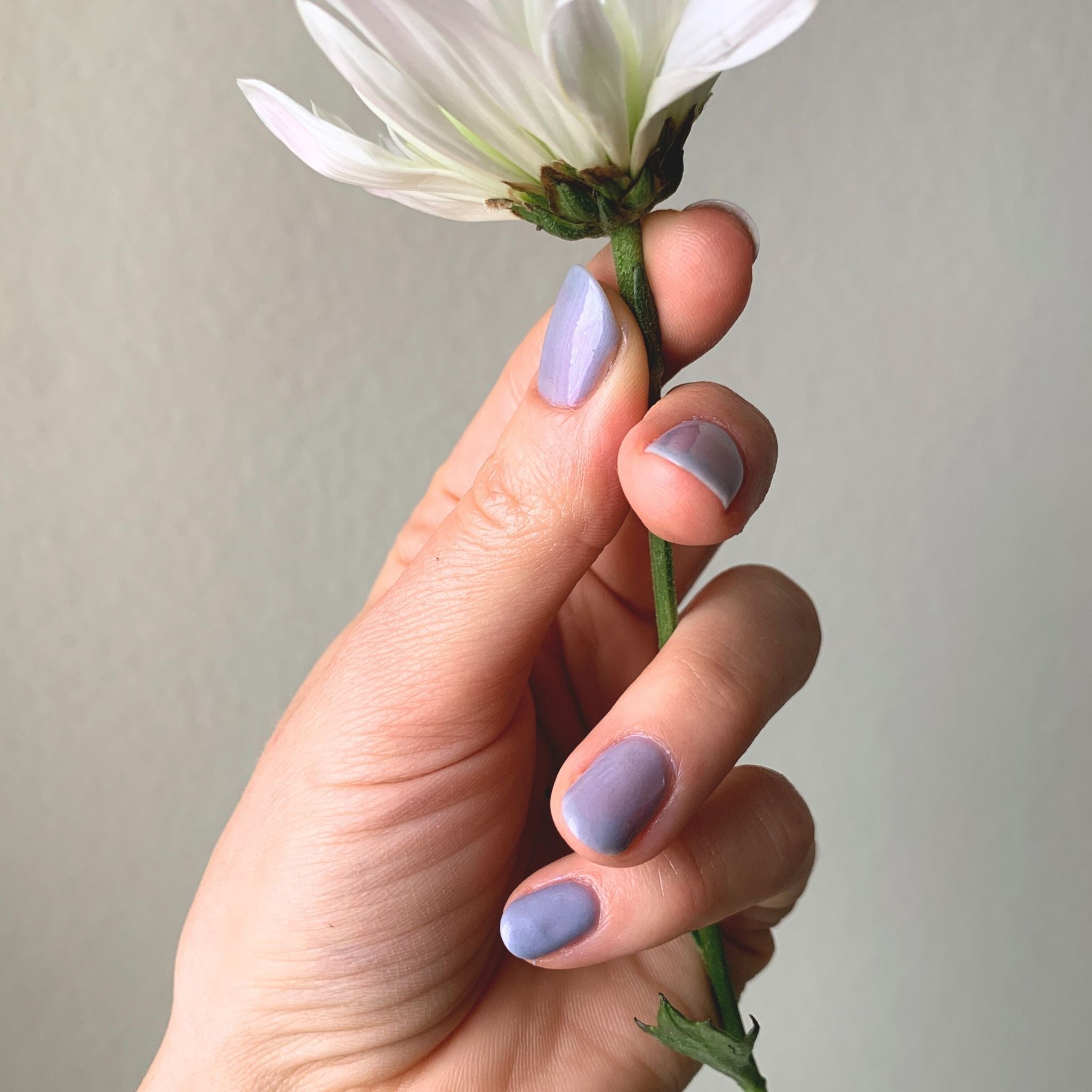 AMETHYST: Unaweep Canyon, CO (Dust to Dust) – Death Valley Nails