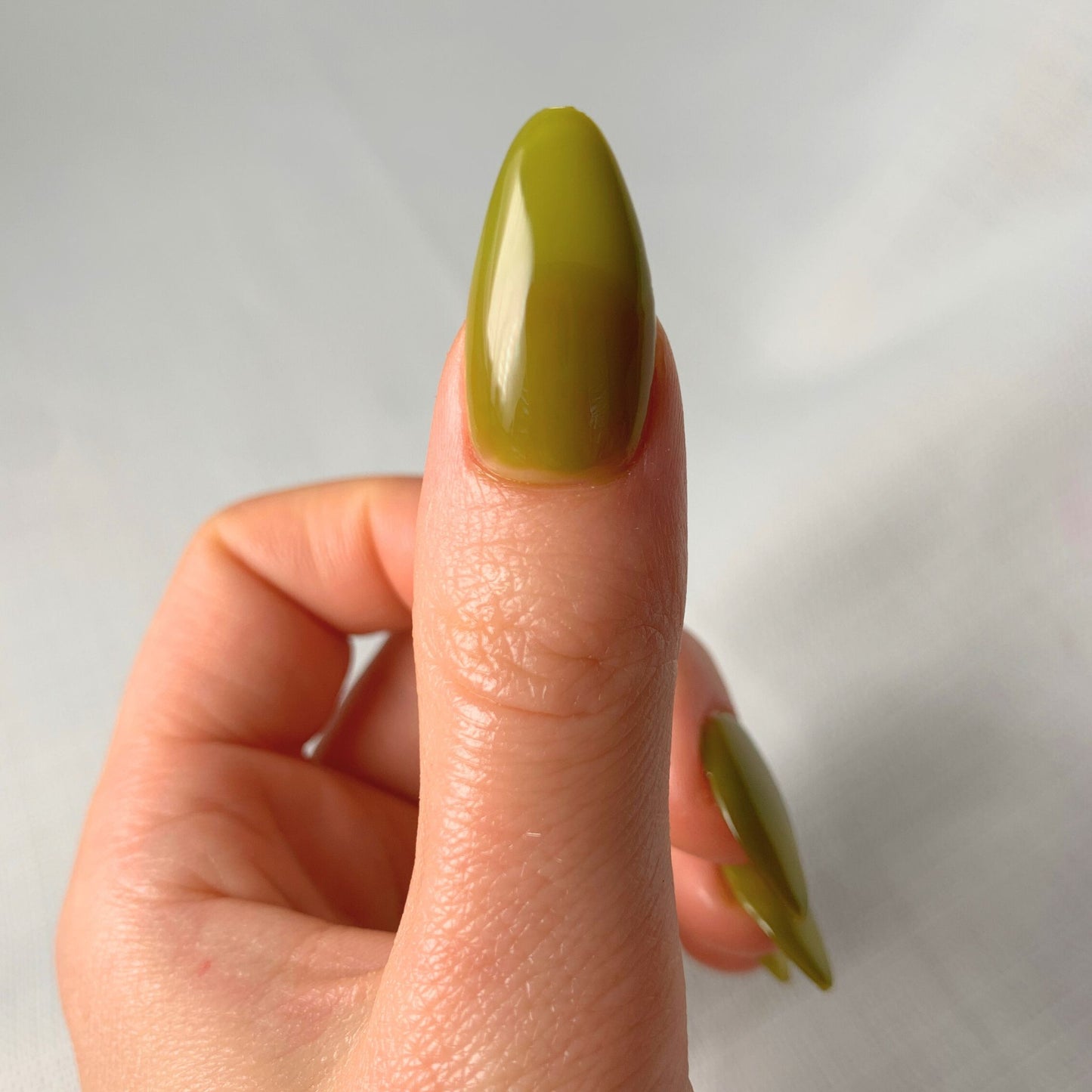 YELLOW-BELLIED SAPSUCKER