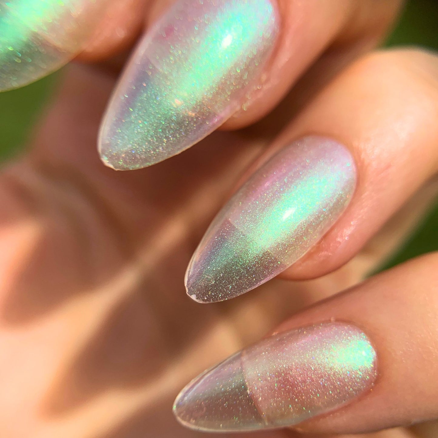 ABALONE