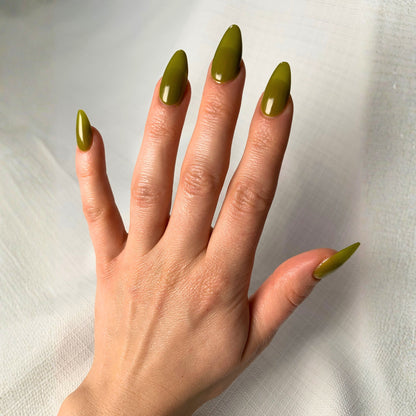 YELLOW-BELLIED SAPSUCKER