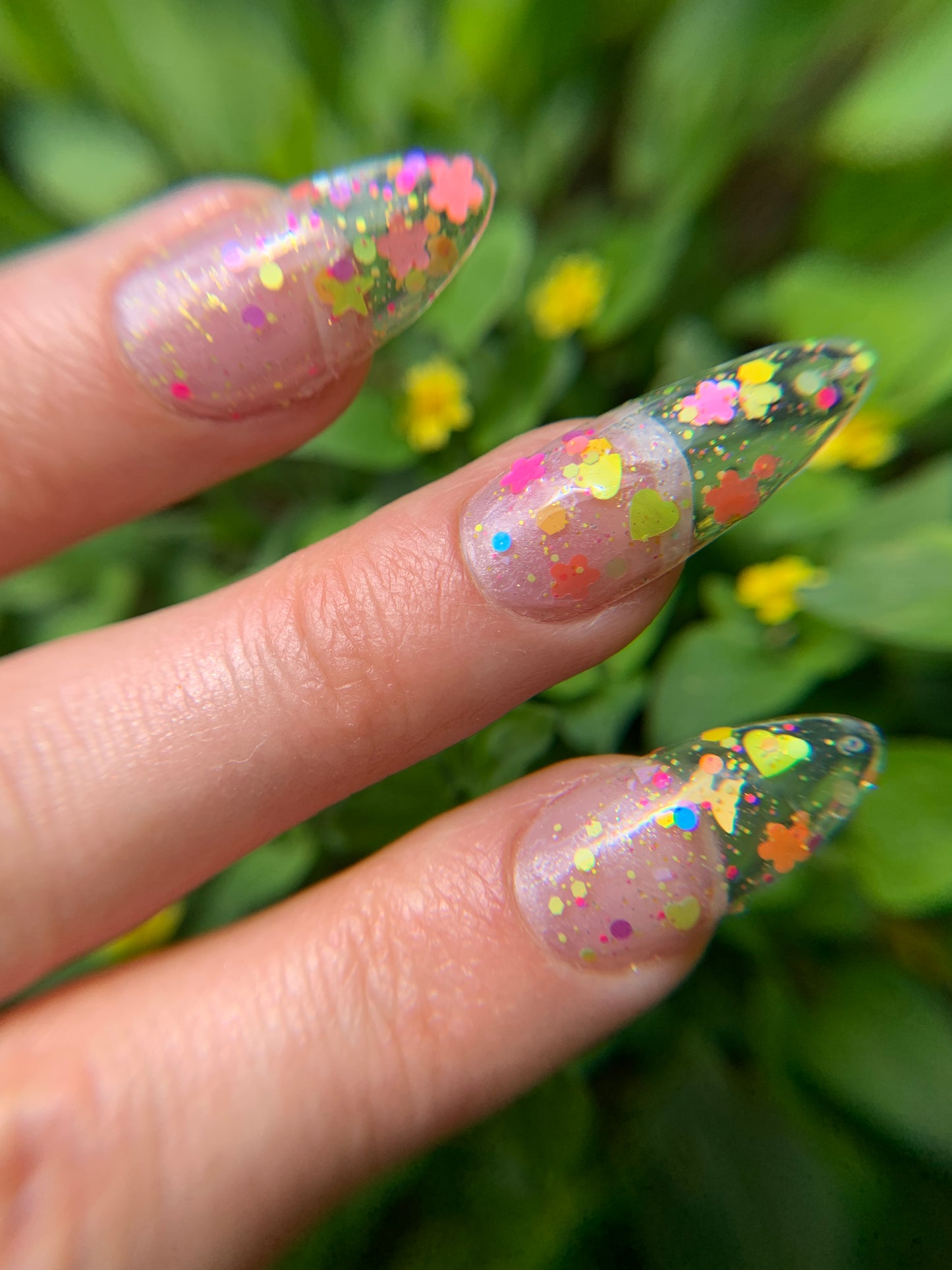 BUGS WITH CAPES AND GARDEN DOILIES