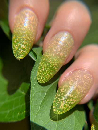 FRECKLES ON A FROG (thermal)