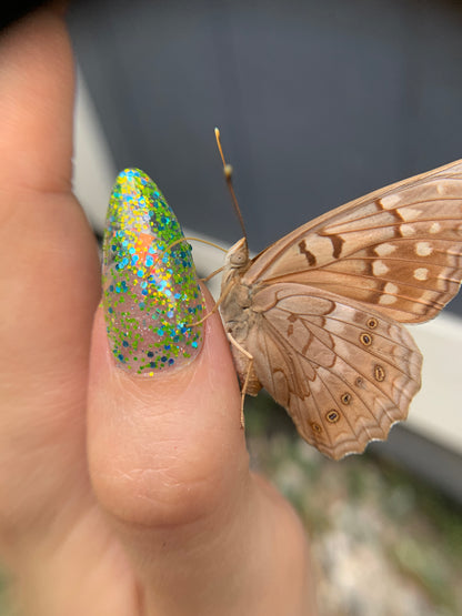 WHERE THE BULLFROGS JUMP FROM BANK TO BANKY