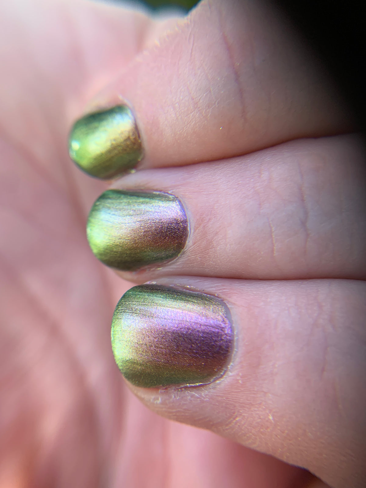 MARLED