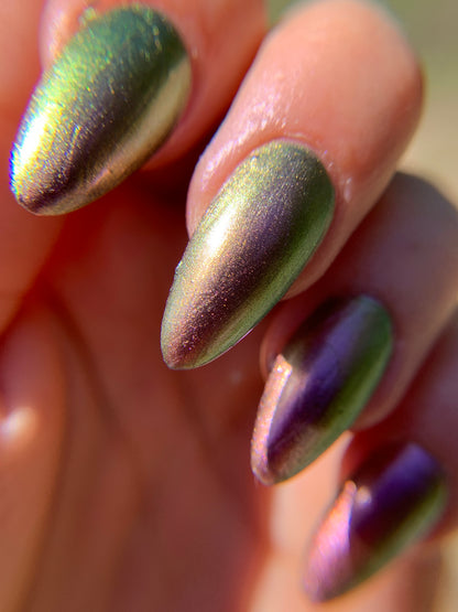 MARLED