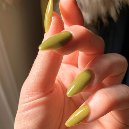 YELLOW-BELLIED SAPSUCKER