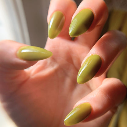 YELLOW-BELLIED SAPSUCKER