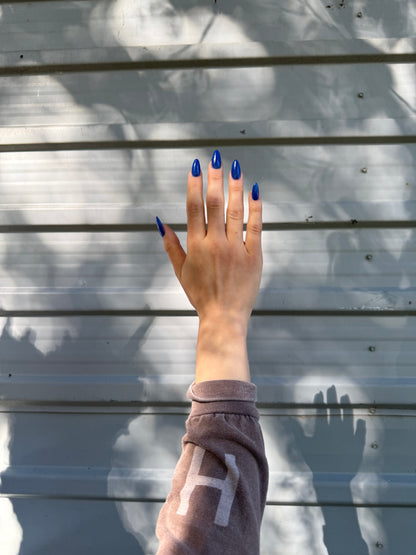 BLUE SPIRULINA: Sonoran Desert, CA (Dust to Dust)