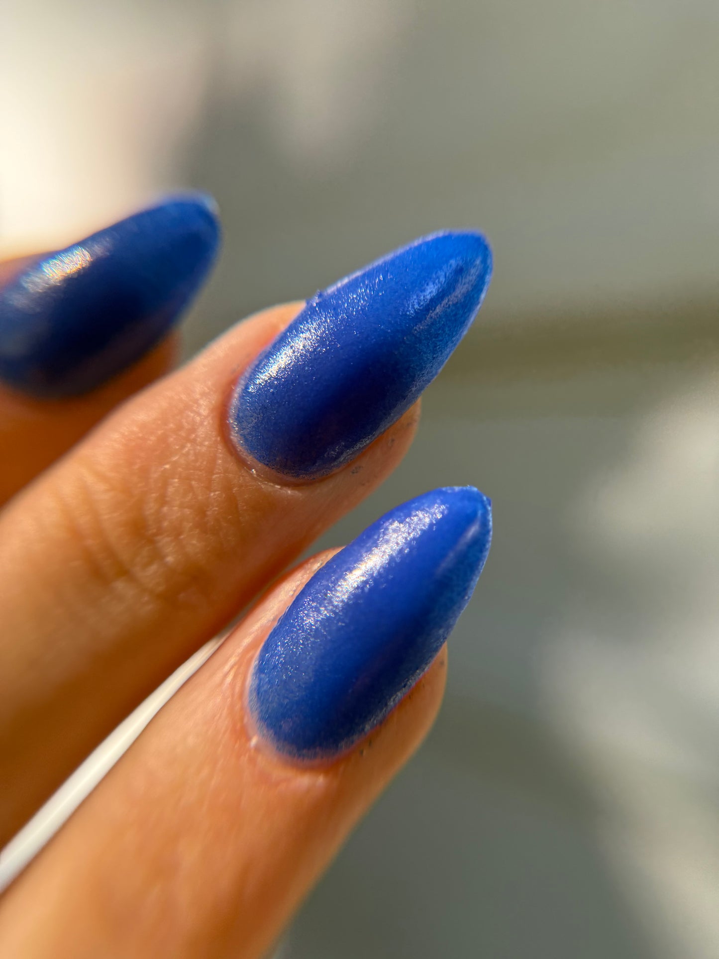 BLUE SPIRULINA: Sonoran Desert, CA (Dust to Dust)