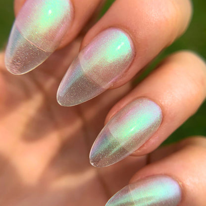 ABALONE