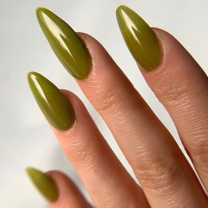 YELLOW-BELLIED SAPSUCKER