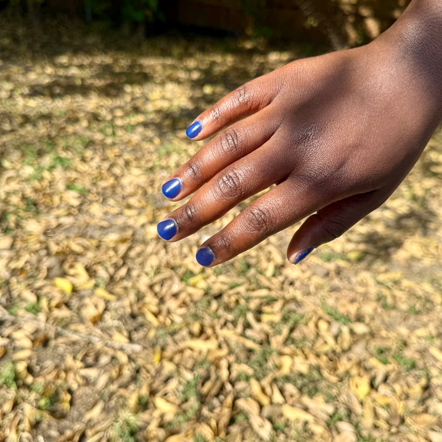 BLUE SPIRULINA: Sonoran Desert, CA (Dust to Dust)