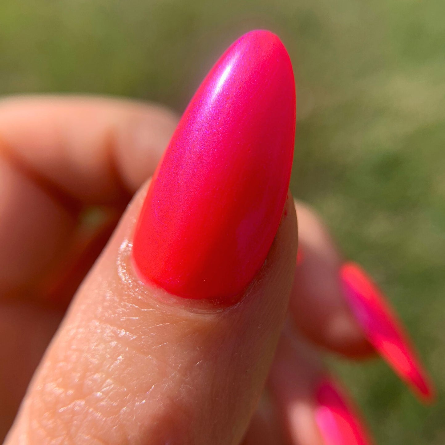 AN ELECTRIC EEL IN LOVE