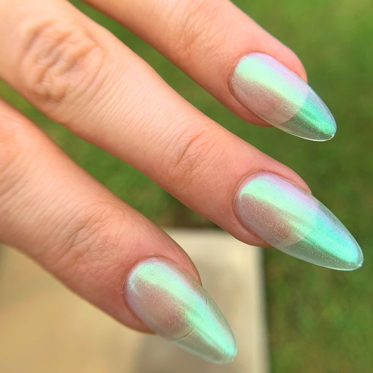 ABALONE