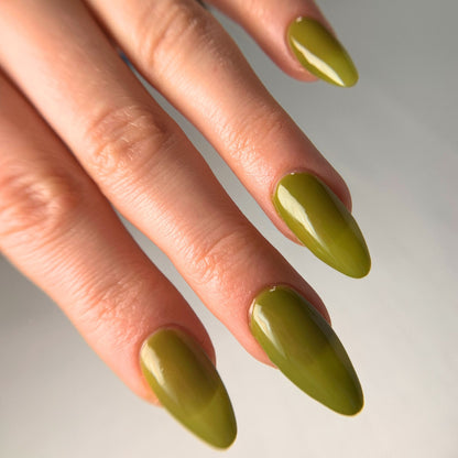 YELLOW-BELLIED SAPSUCKER