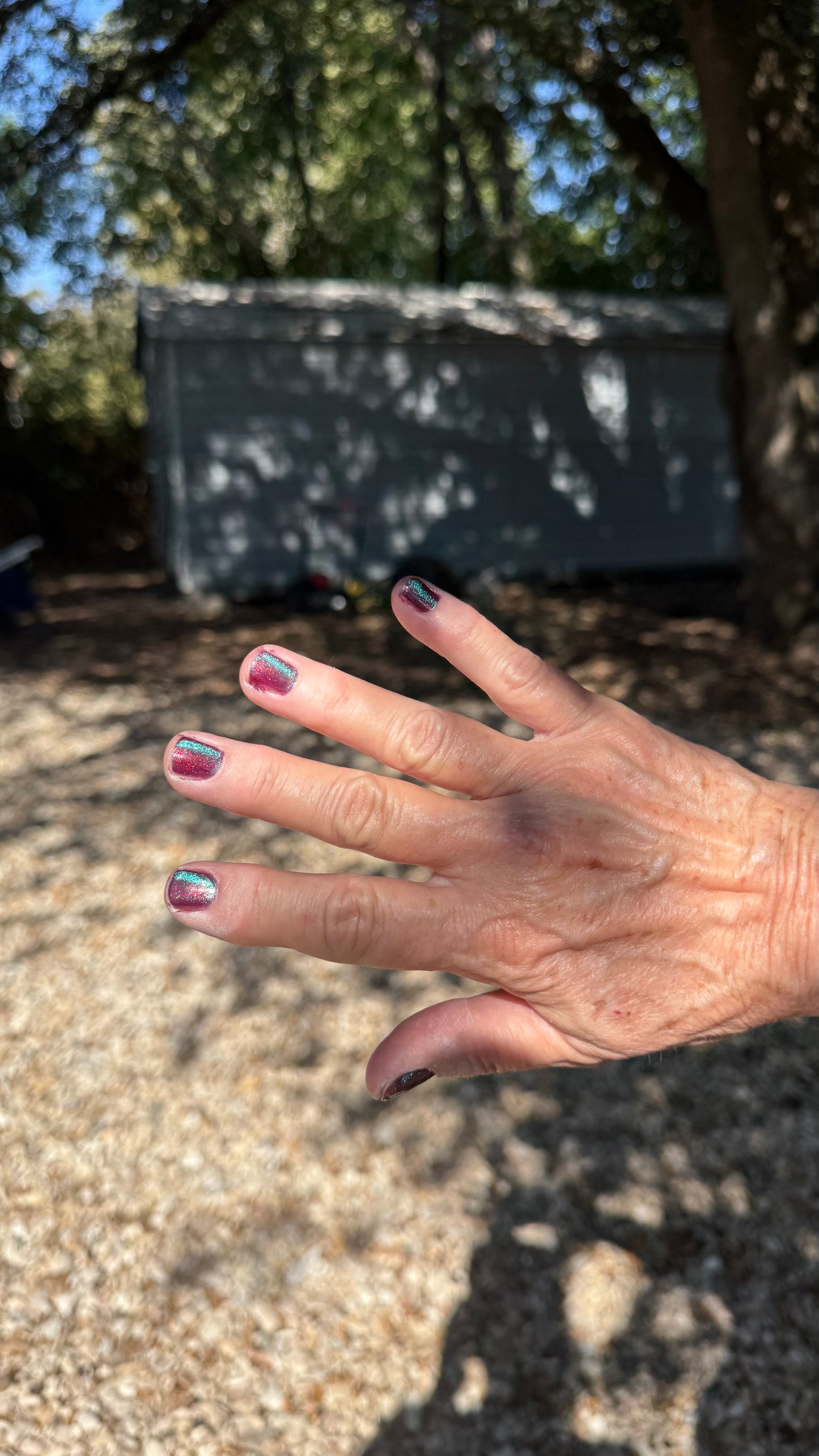 MUMBLING ABOUT APPLES IN YOUR DREAMS (magnetic)