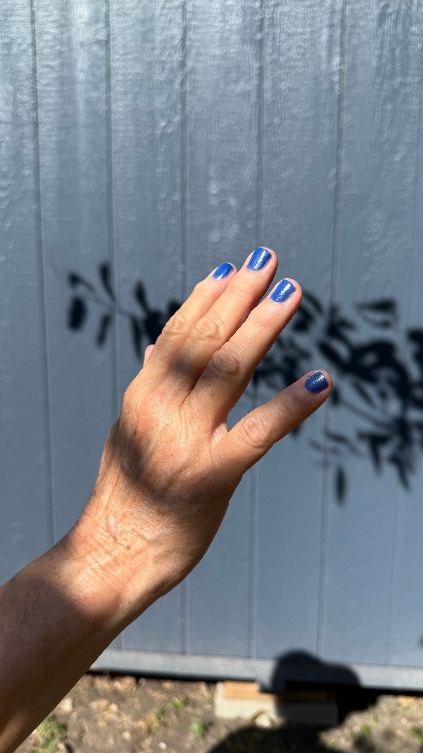 BLUE SPIRULINA: Sonoran Desert, CA (Dust to Dust)