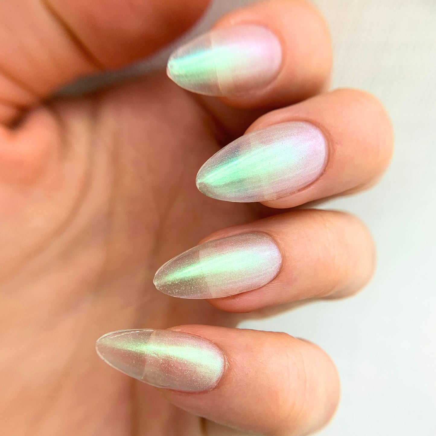 ABALONE