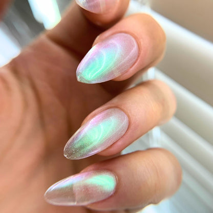 ABALONE