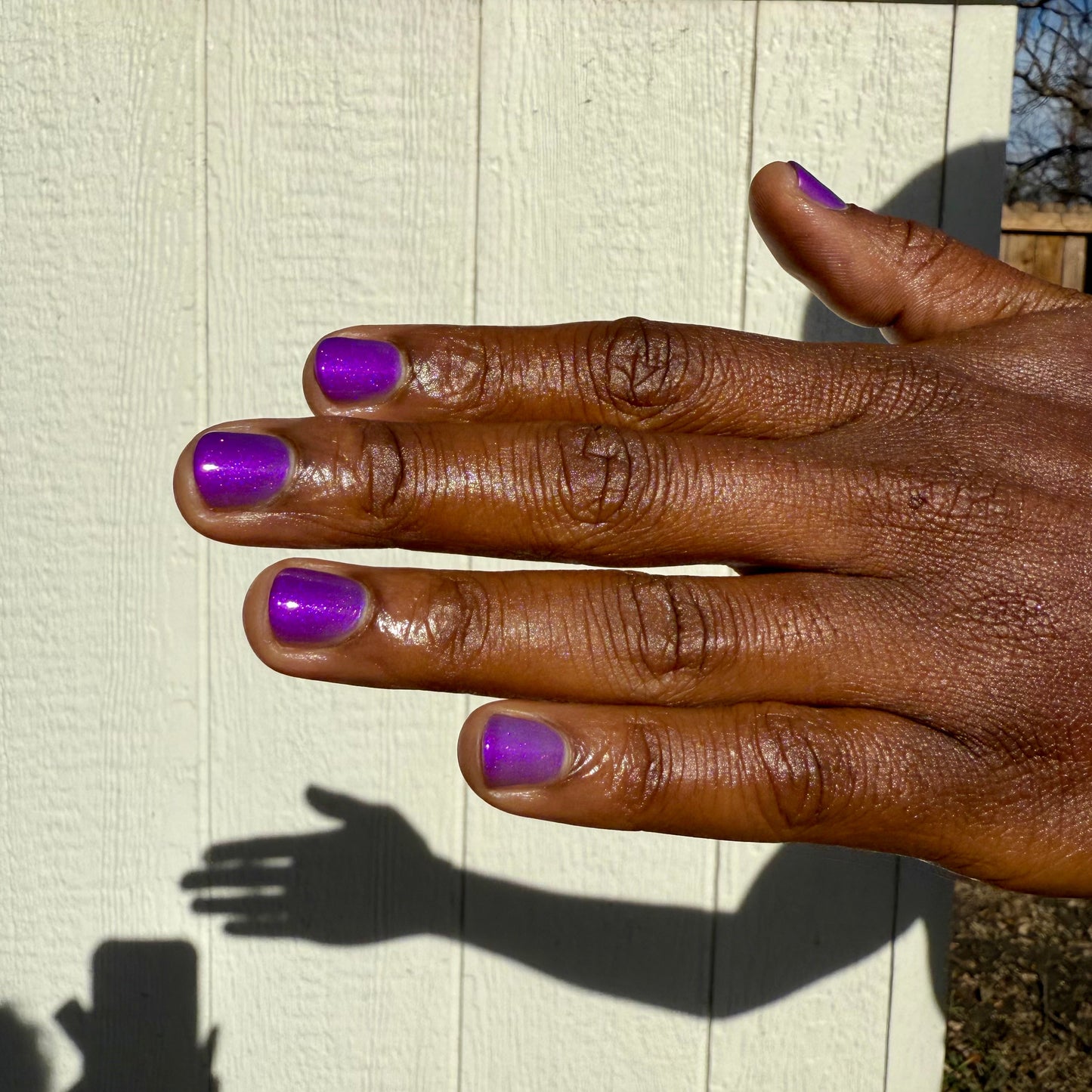 PERENNIAL (photo-thermal)