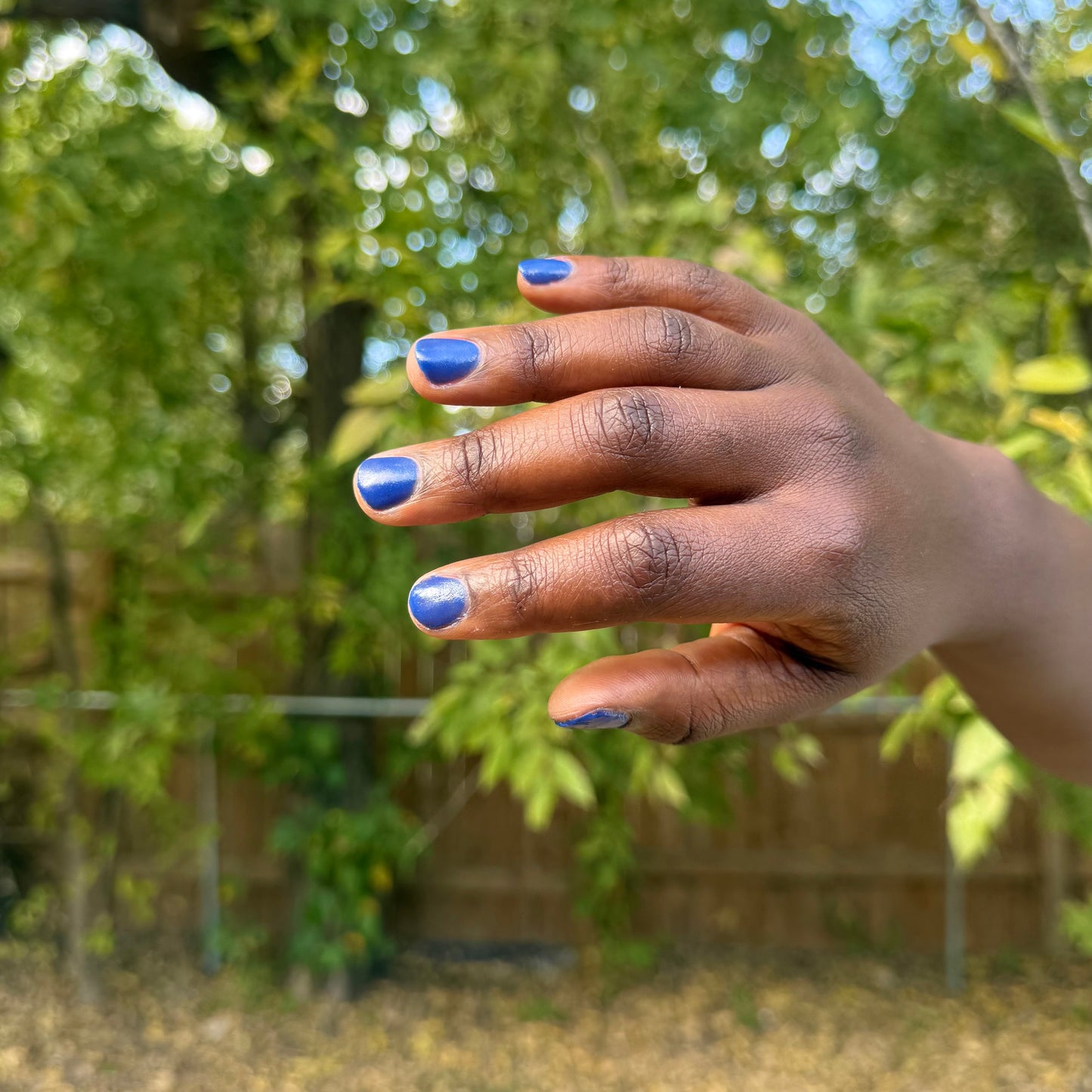 BLUE SPIRULINA: Sonoran Desert, CA (Dust to Dust)