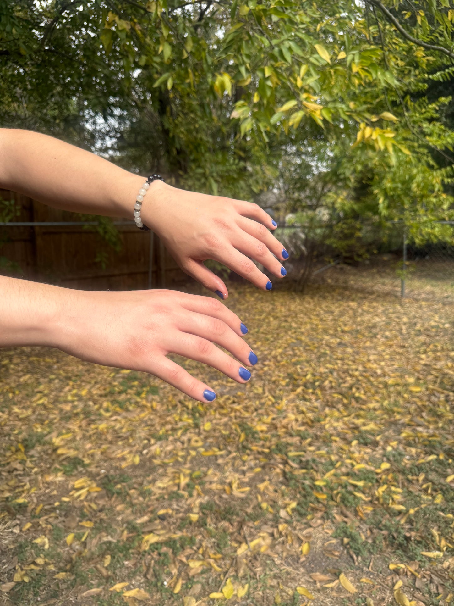 BLUE SPIRULINA: Sonoran Desert, CA (Dust to Dust)