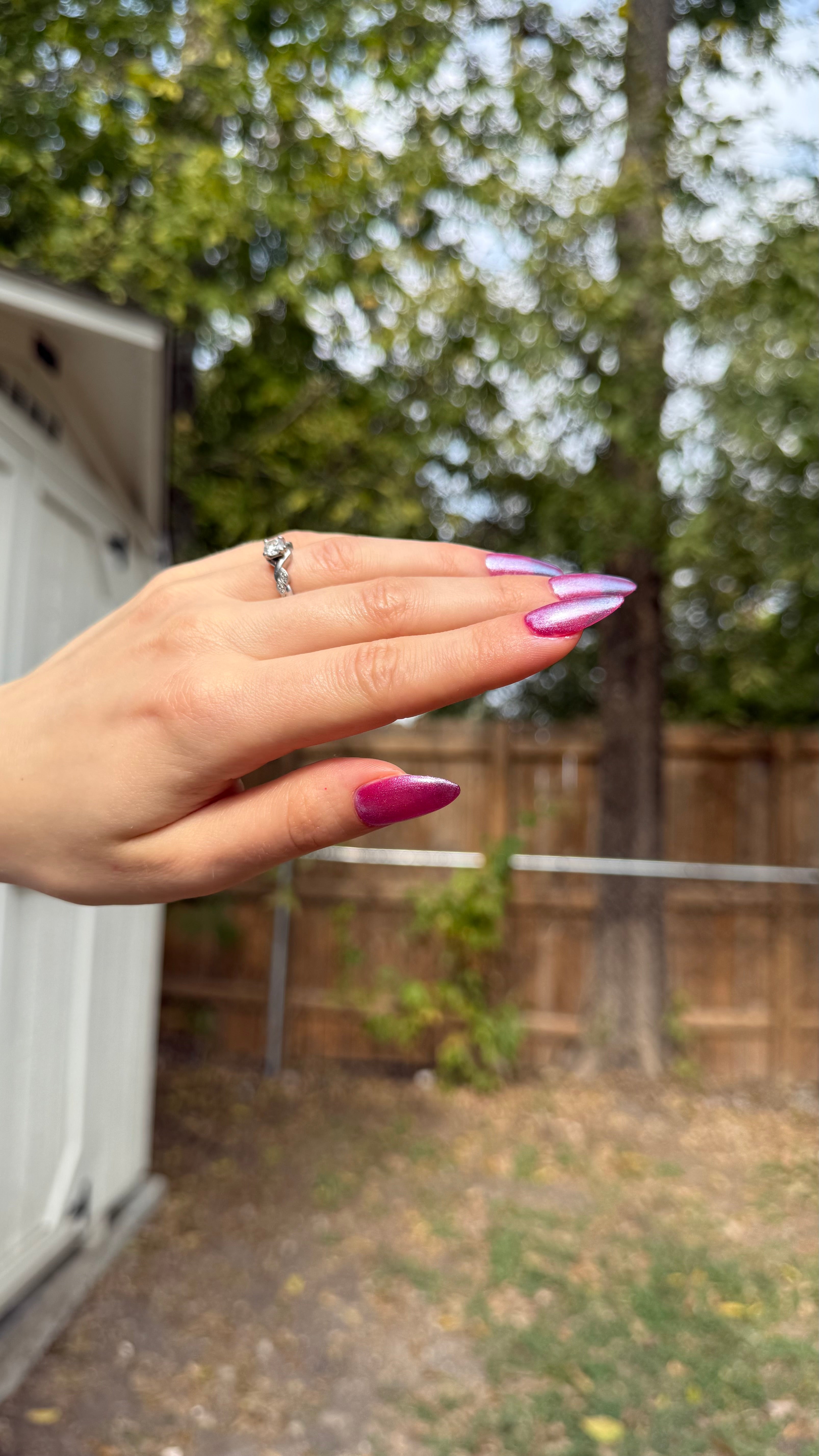 TOE JAM – Death Valley Nails
