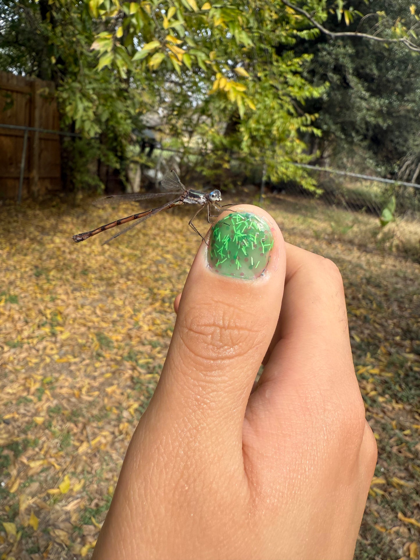 DECONSTRUCTED GARLAND (thermal)