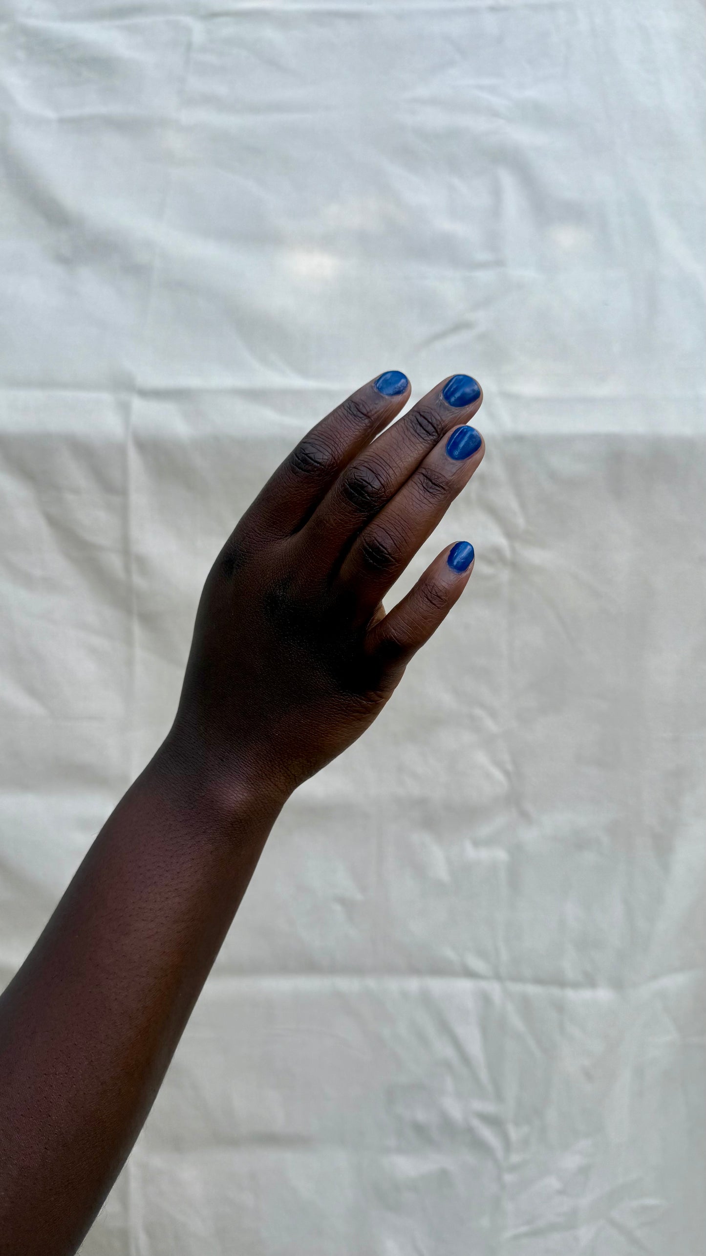 BLUE SPIRULINA: Sonoran Desert, CA (Dust to Dust)