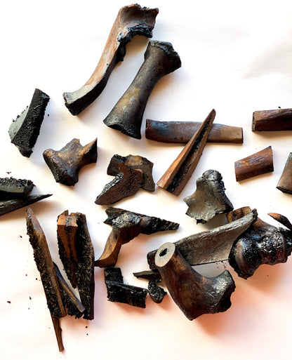 BONE: Bastrop, TX (Dust to Dust)