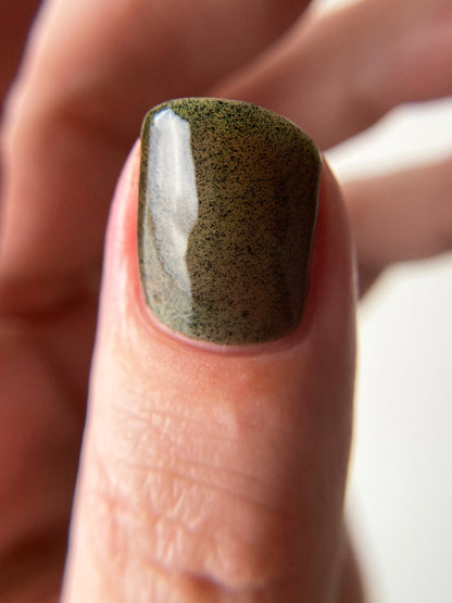 SPIRULINA: Sonoran Desert, CA (Dust to Dust)