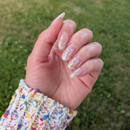 SEASHELLS (Wholesale)