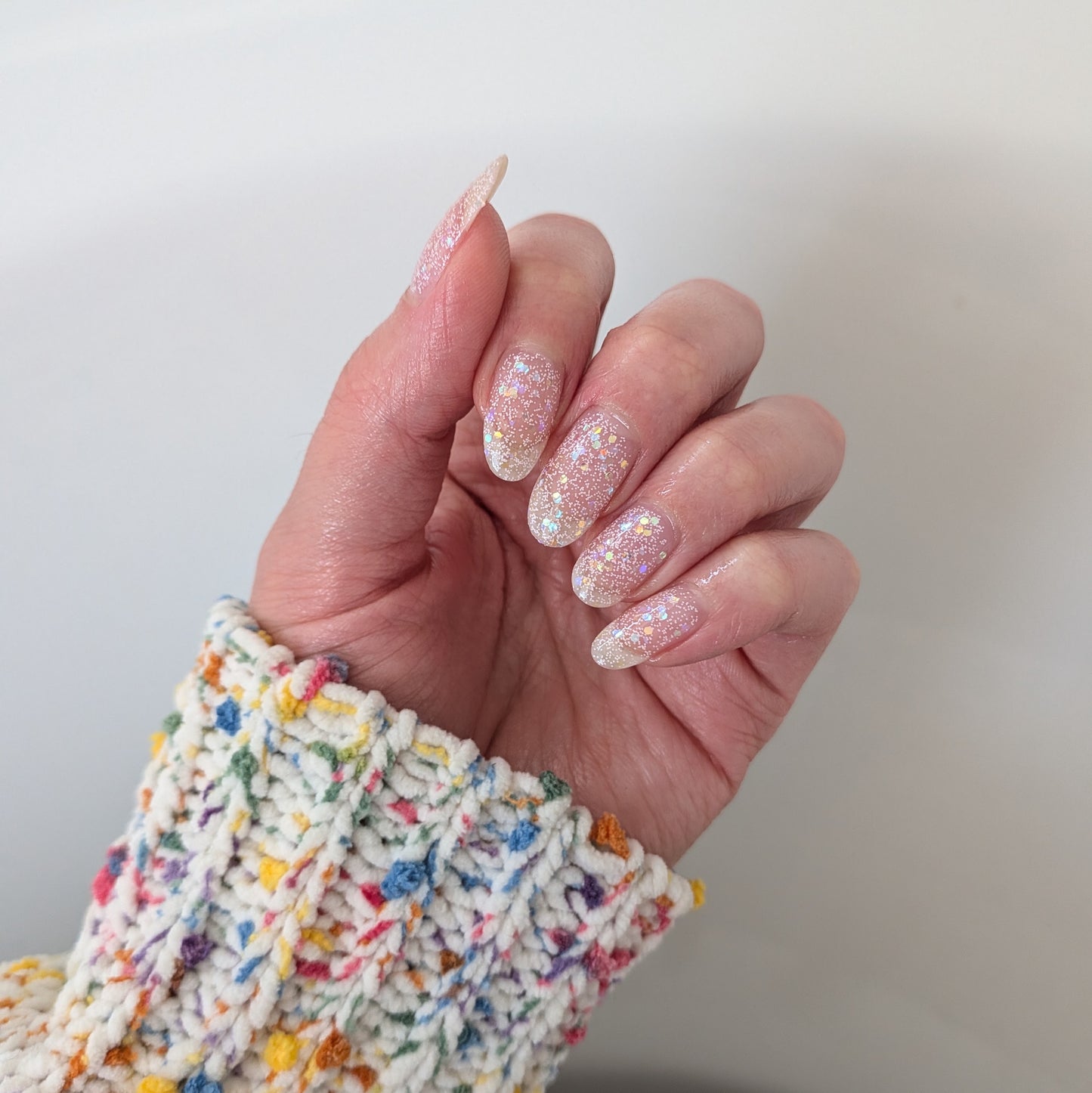 SEASHELLS (Wholesale)