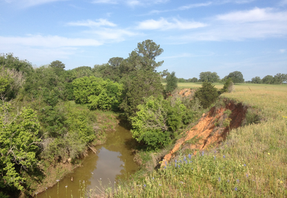 BONE: Bastrop, TX (Dust to Dust)