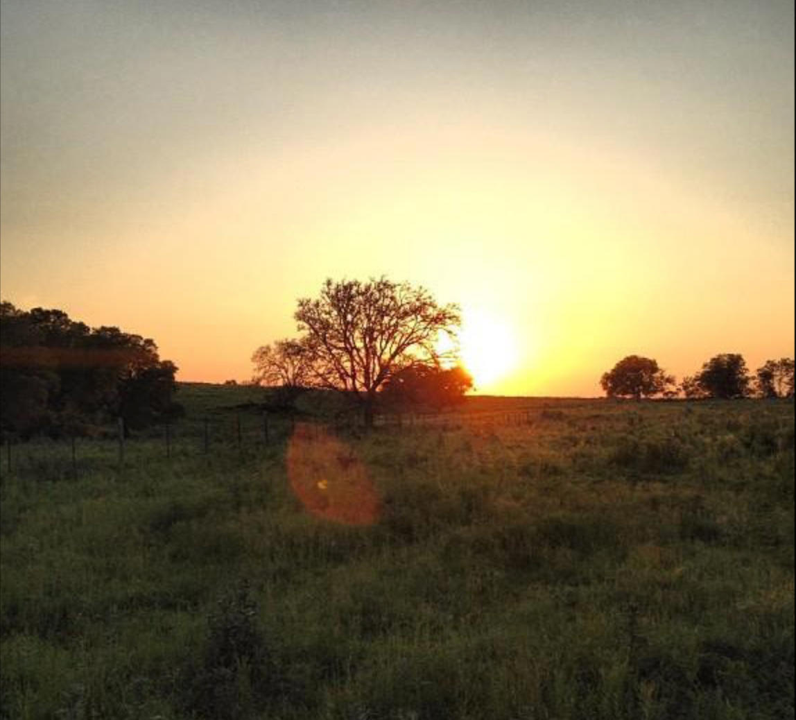 BONE: Bastrop, TX (Dust to Dust)