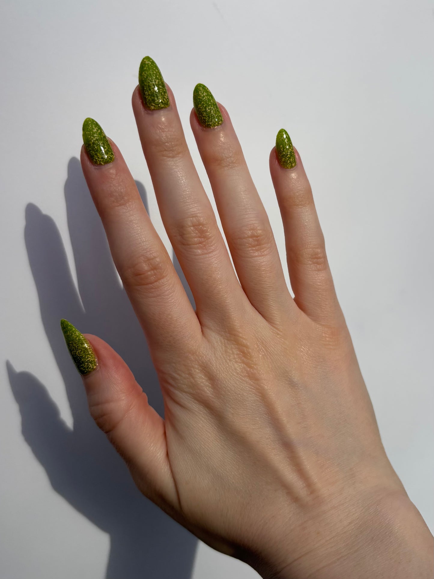 FRECKLES ON A FROG (Wholesale)