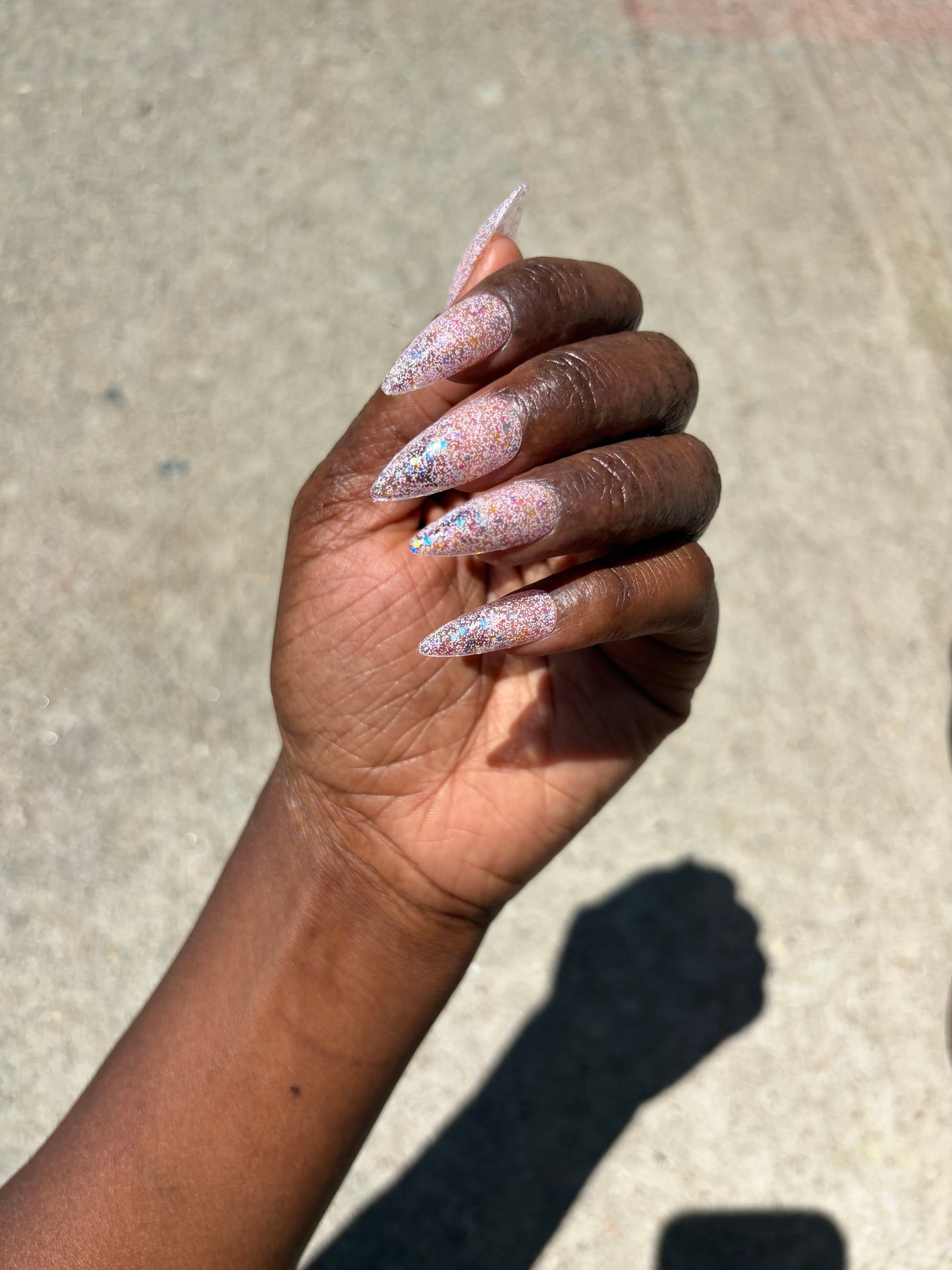 SEASHELLS