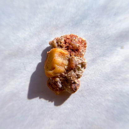 FOSSILS: Kem Kem Beds, Sahara Desert, Morocco (Dust to Dust)