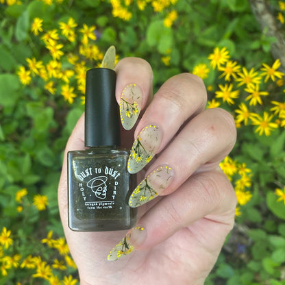 DILL WEED: Home Garden (Dust to Dust)