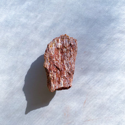 FOSSILS: Kem Kem Beds, Sahara Desert, Morocco (Dust to Dust)