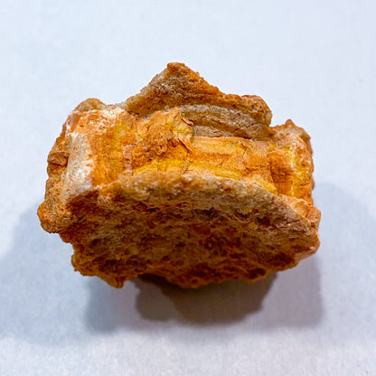 FOSSILS: Kem Kem Beds, Sahara Desert, Morocco (Dust to Dust)