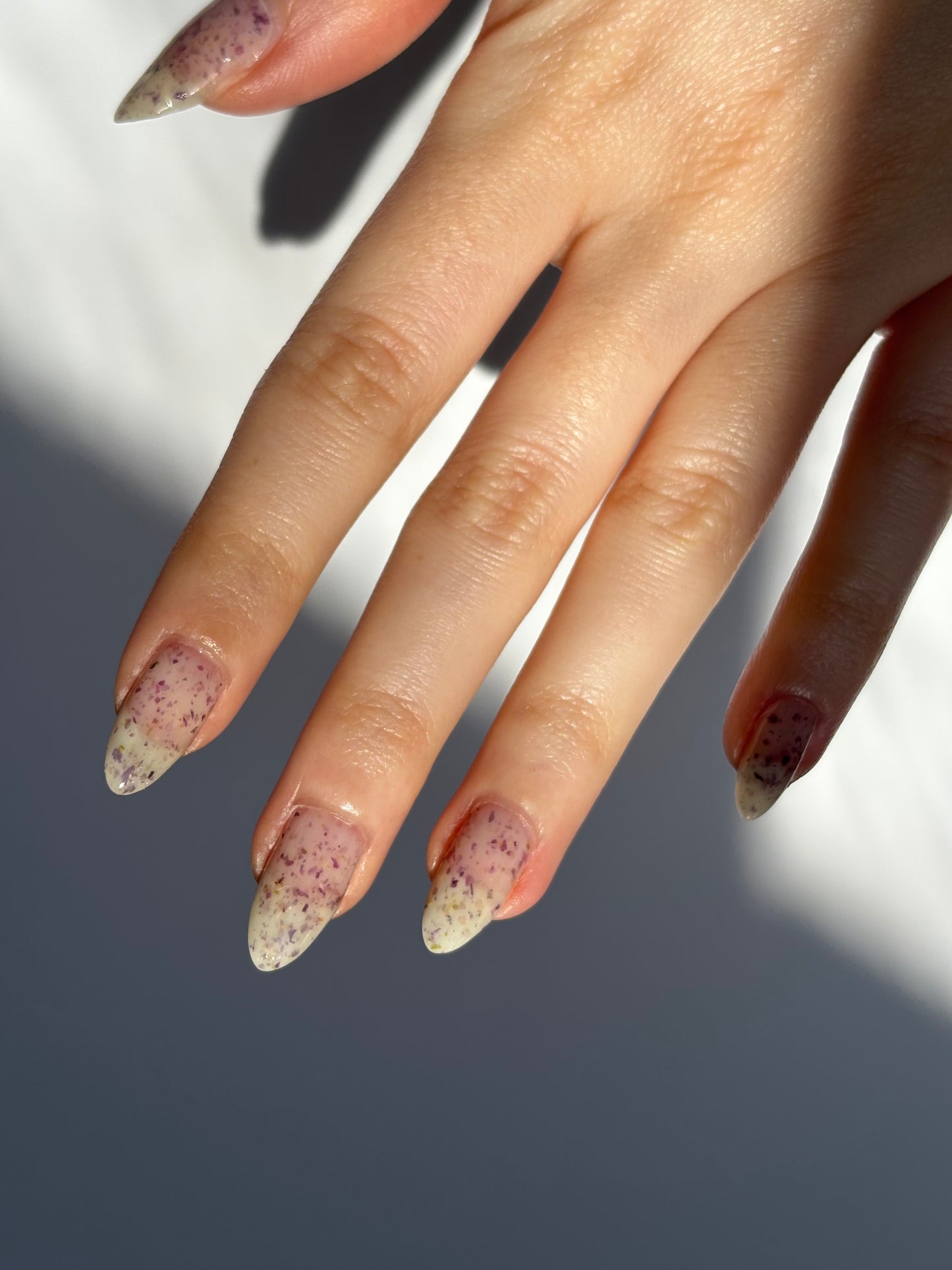 WISTERIA (Dust To Dust)